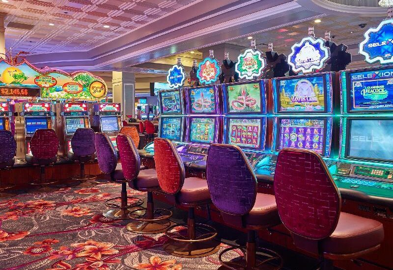 link me casino